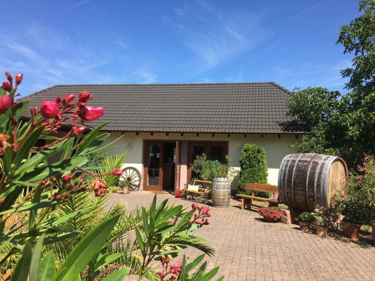 Appartement Weingut Hans Bausch à Hattenheim Extérieur photo